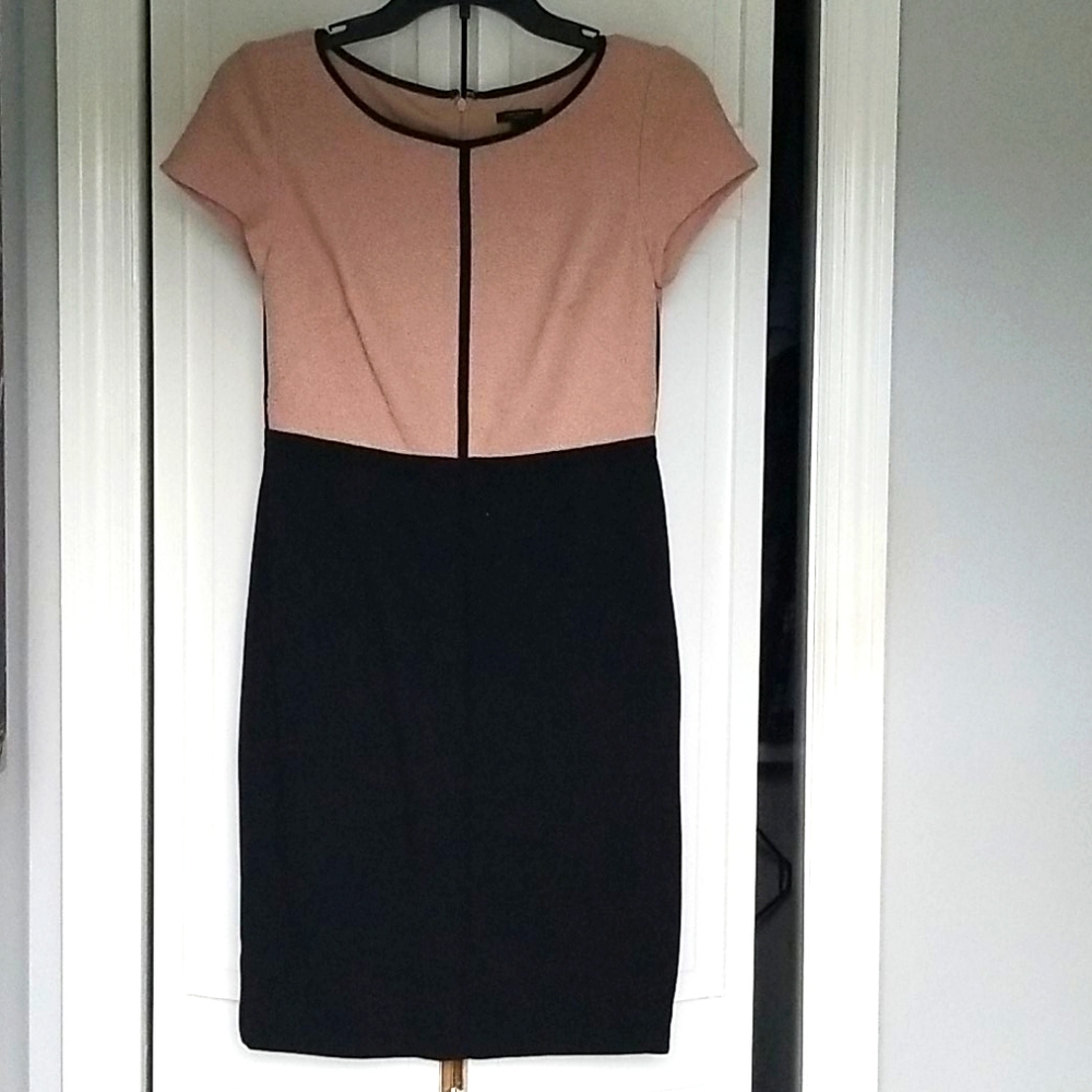 Womans Business Dress